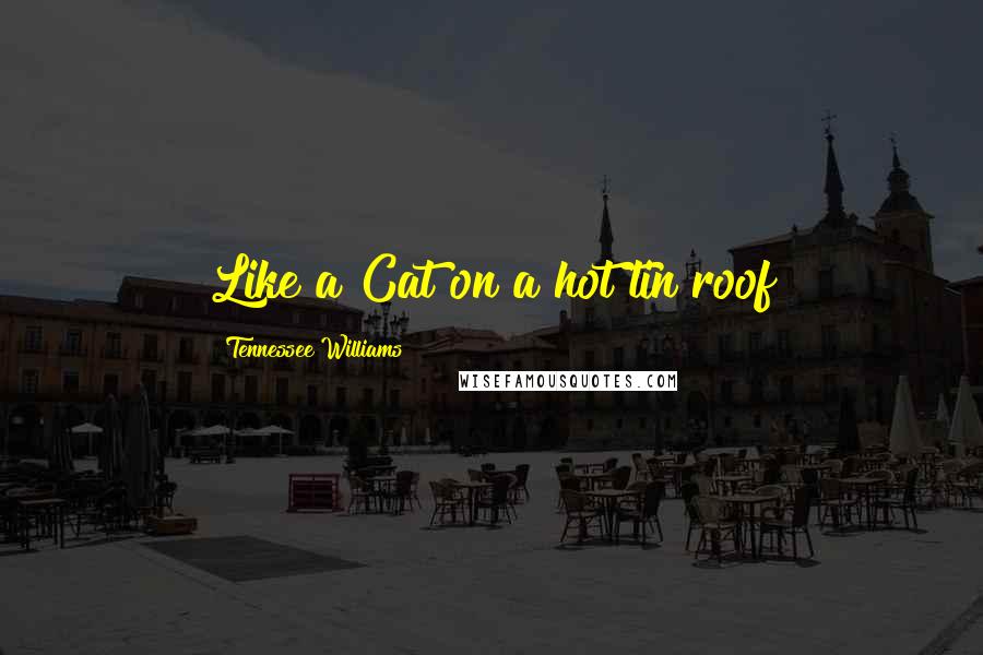 Tennessee Williams Quotes: Like a Cat on a hot tin roof