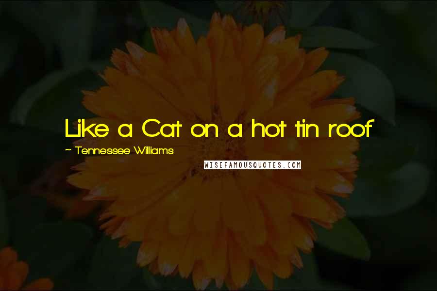 Tennessee Williams Quotes: Like a Cat on a hot tin roof