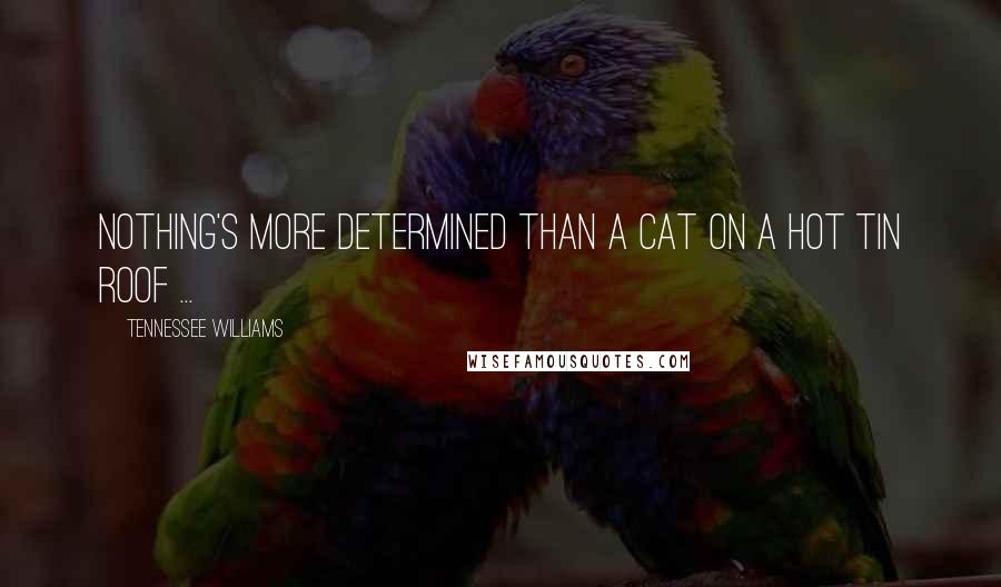 Tennessee Williams Quotes: Nothing's more determined than a cat on a hot tin roof ...