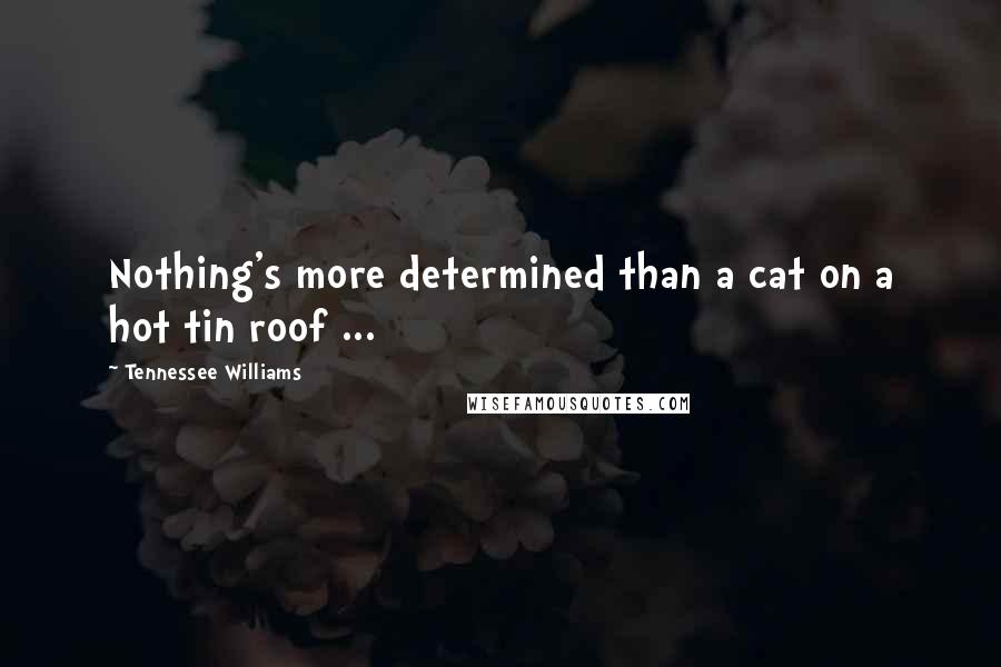 Tennessee Williams Quotes: Nothing's more determined than a cat on a hot tin roof ...