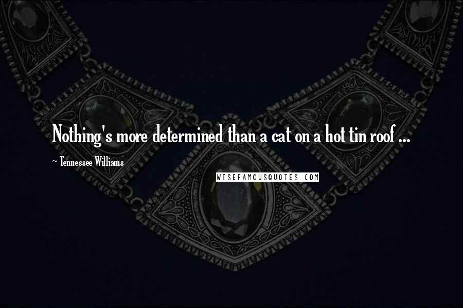 Tennessee Williams Quotes: Nothing's more determined than a cat on a hot tin roof ...