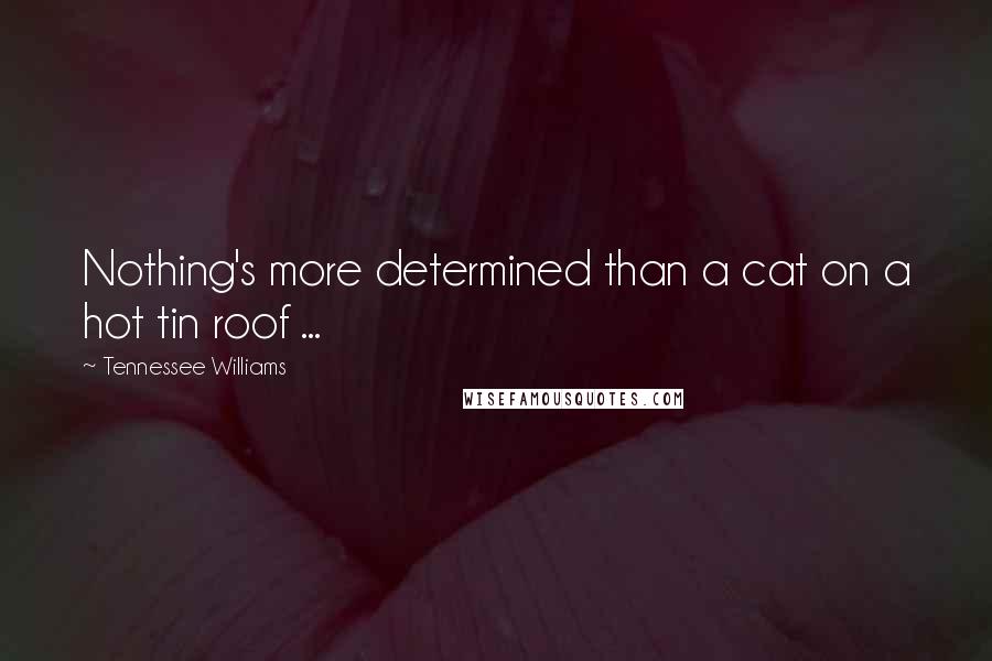 Tennessee Williams Quotes: Nothing's more determined than a cat on a hot tin roof ...