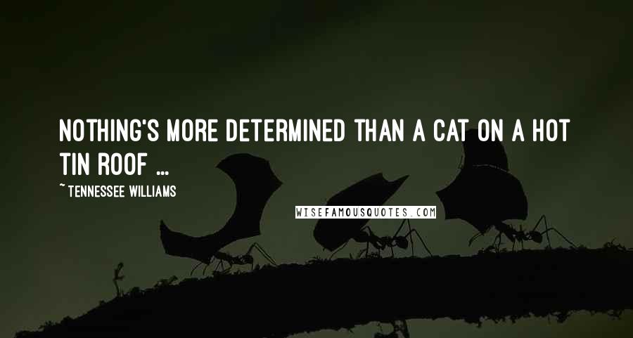 Tennessee Williams Quotes: Nothing's more determined than a cat on a hot tin roof ...