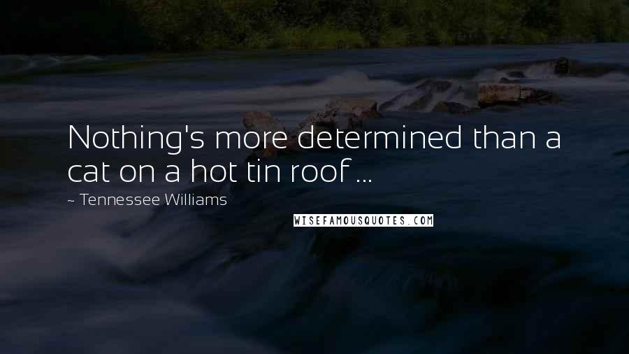 Tennessee Williams Quotes: Nothing's more determined than a cat on a hot tin roof ...