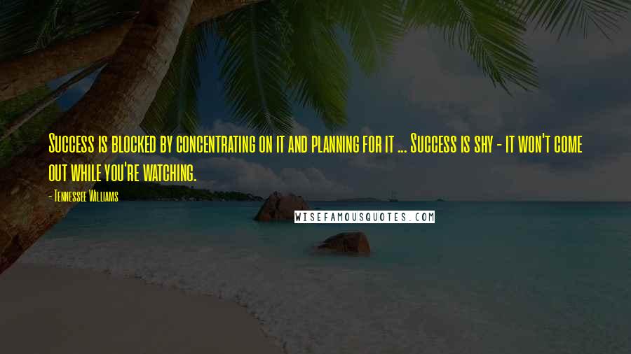 Tennessee Williams Quotes: Success is blocked by concentrating on it and planning for it ... Success is shy - it won't come out while you're watching.