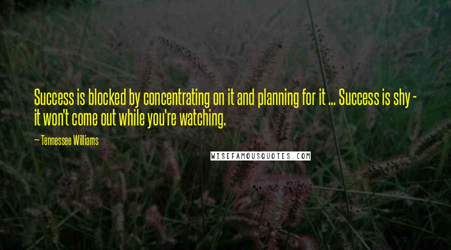 Tennessee Williams Quotes: Success is blocked by concentrating on it and planning for it ... Success is shy - it won't come out while you're watching.