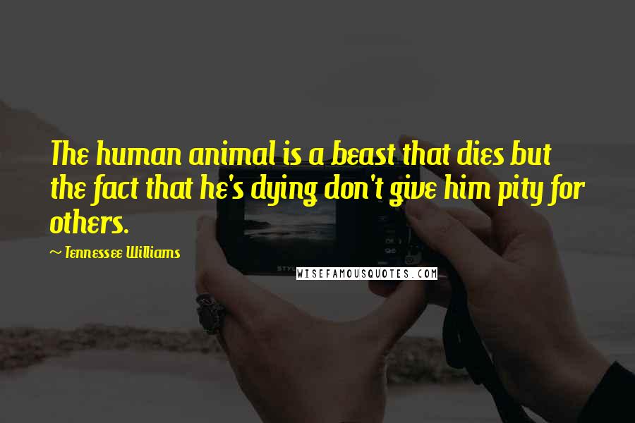 Tennessee Williams Quotes: The human animal is a beast that dies but the fact that he's dying don't give him pity for others.