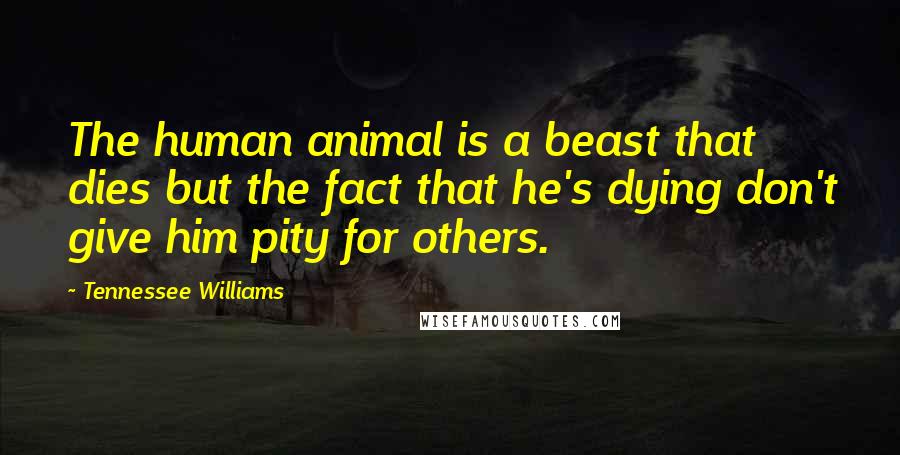 Tennessee Williams Quotes: The human animal is a beast that dies but the fact that he's dying don't give him pity for others.