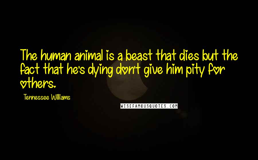 Tennessee Williams Quotes: The human animal is a beast that dies but the fact that he's dying don't give him pity for others.