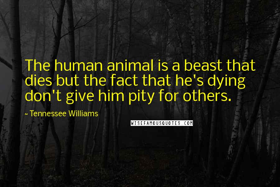 Tennessee Williams Quotes: The human animal is a beast that dies but the fact that he's dying don't give him pity for others.