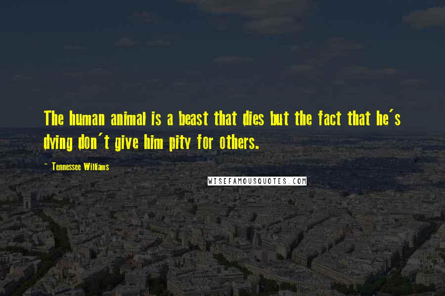 Tennessee Williams Quotes: The human animal is a beast that dies but the fact that he's dying don't give him pity for others.