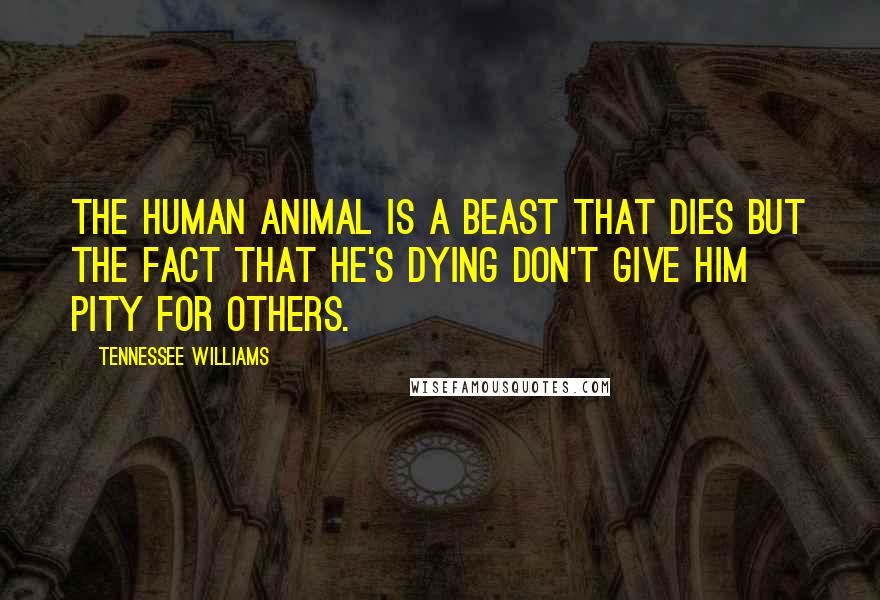 Tennessee Williams Quotes: The human animal is a beast that dies but the fact that he's dying don't give him pity for others.