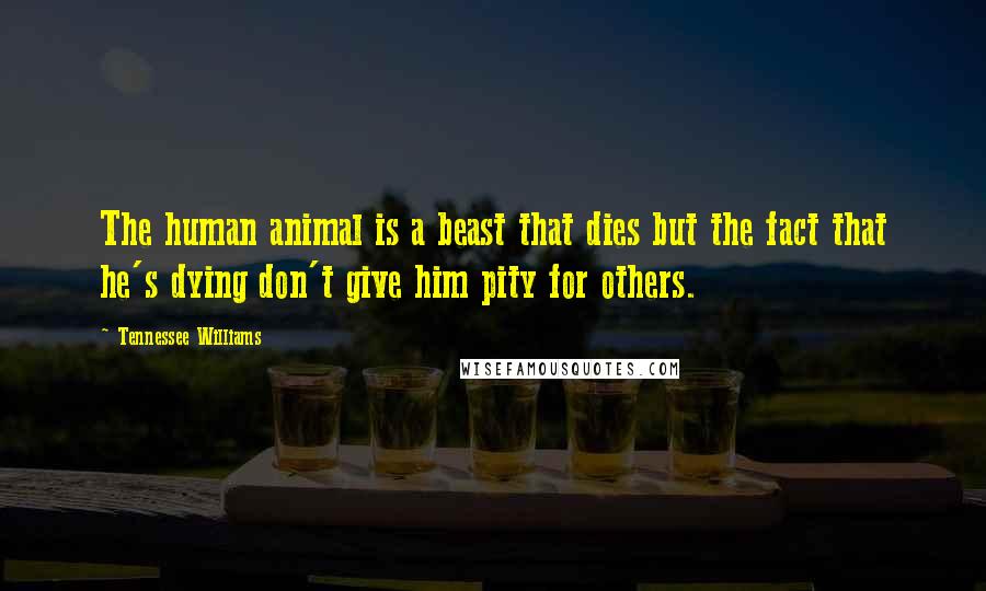 Tennessee Williams Quotes: The human animal is a beast that dies but the fact that he's dying don't give him pity for others.