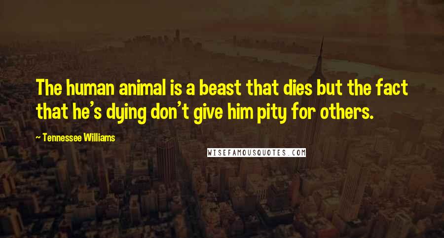 Tennessee Williams Quotes: The human animal is a beast that dies but the fact that he's dying don't give him pity for others.