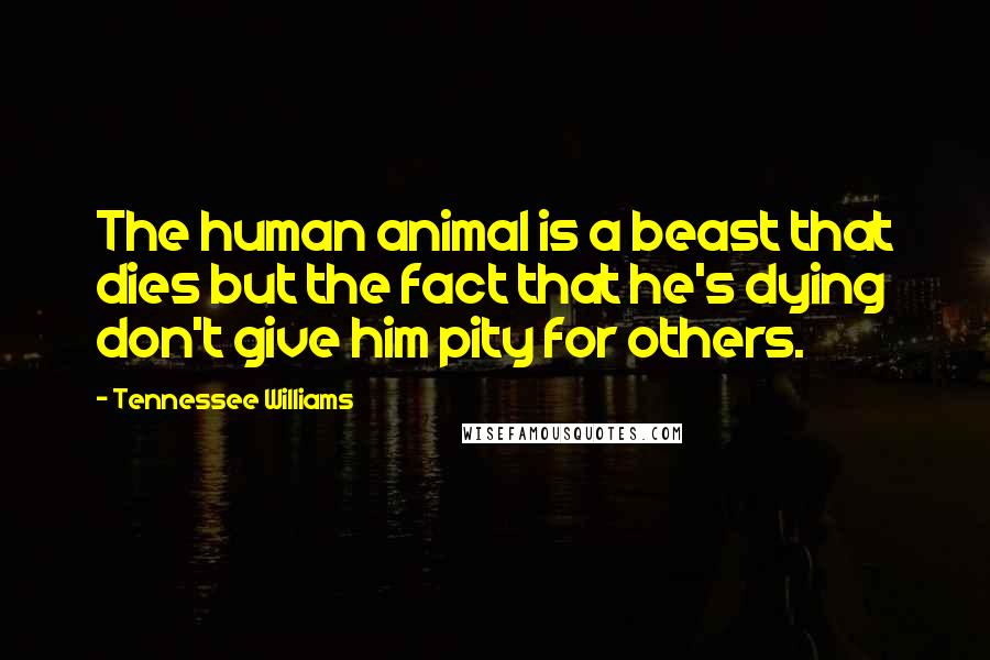 Tennessee Williams Quotes: The human animal is a beast that dies but the fact that he's dying don't give him pity for others.