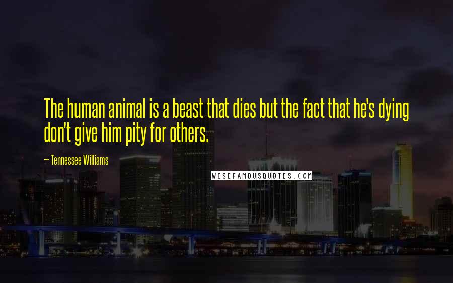 Tennessee Williams Quotes: The human animal is a beast that dies but the fact that he's dying don't give him pity for others.