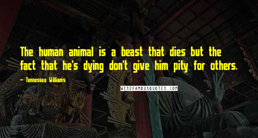 Tennessee Williams Quotes: The human animal is a beast that dies but the fact that he's dying don't give him pity for others.