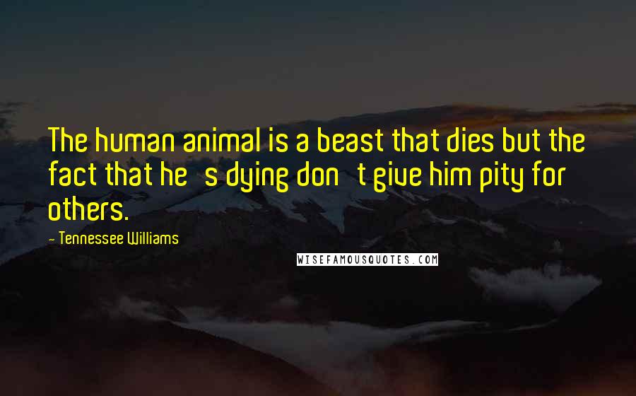 Tennessee Williams Quotes: The human animal is a beast that dies but the fact that he's dying don't give him pity for others.