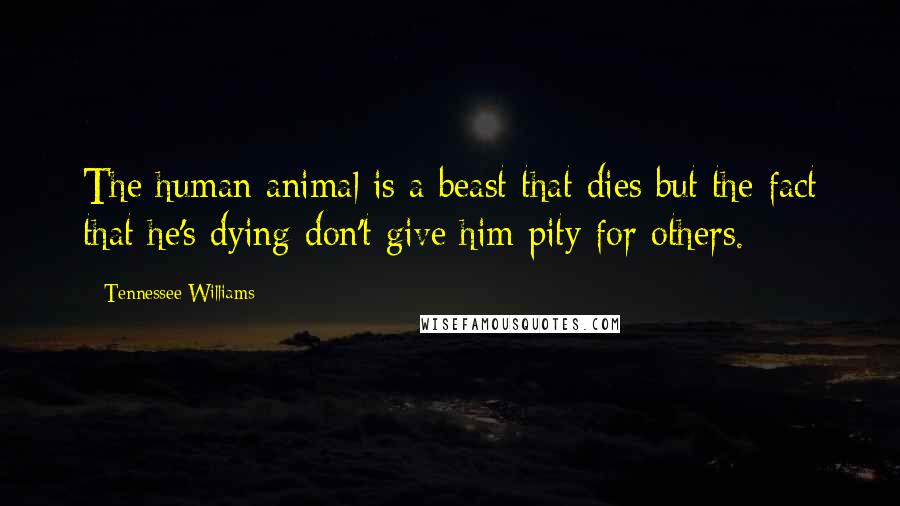 Tennessee Williams Quotes: The human animal is a beast that dies but the fact that he's dying don't give him pity for others.
