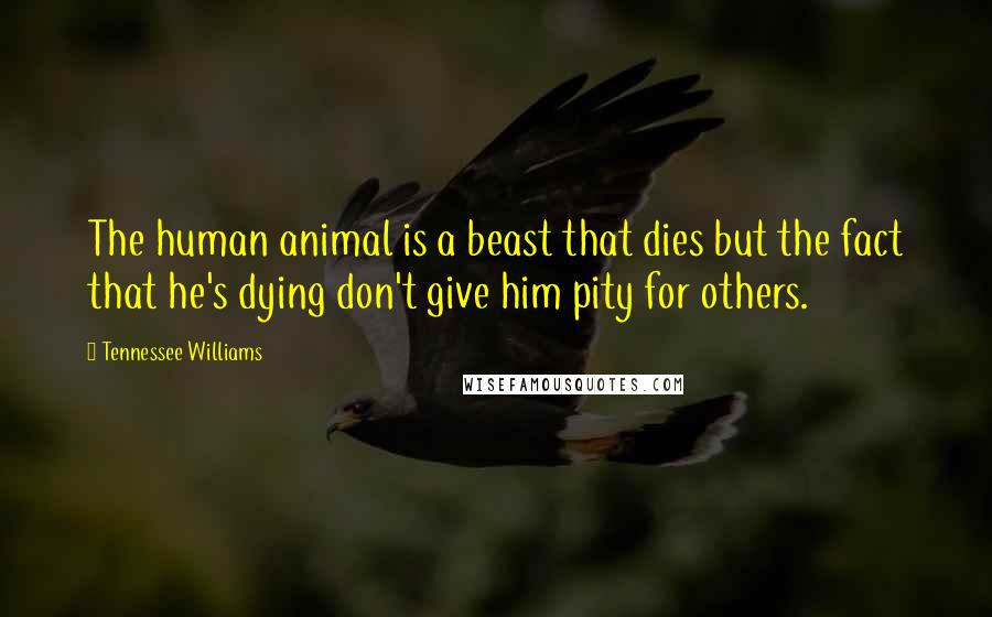 Tennessee Williams Quotes: The human animal is a beast that dies but the fact that he's dying don't give him pity for others.