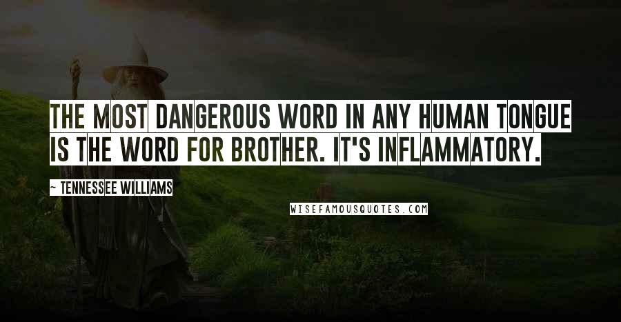 Tennessee Williams Quotes: The most dangerous word in any human tongue is the word for brother. It's inflammatory.