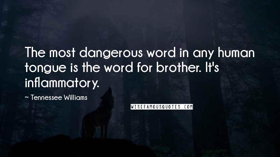 Tennessee Williams Quotes: The most dangerous word in any human tongue is the word for brother. It's inflammatory.
