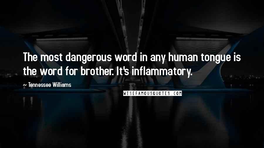 Tennessee Williams Quotes: The most dangerous word in any human tongue is the word for brother. It's inflammatory.