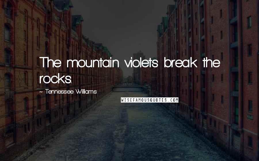 Tennessee Williams Quotes: The mountain violets break the rocks.