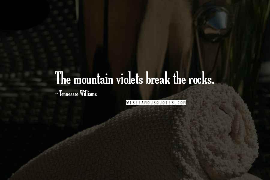 Tennessee Williams Quotes: The mountain violets break the rocks.