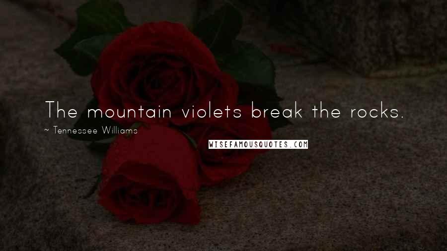 Tennessee Williams Quotes: The mountain violets break the rocks.