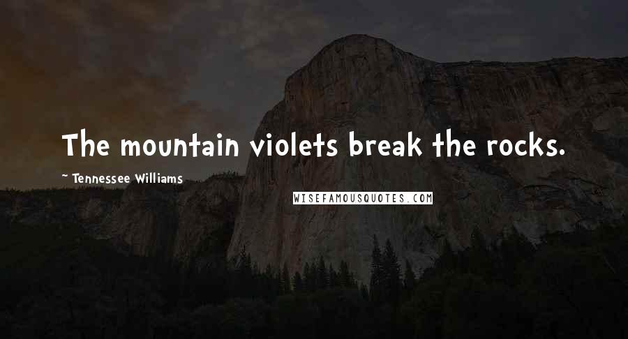 Tennessee Williams Quotes: The mountain violets break the rocks.