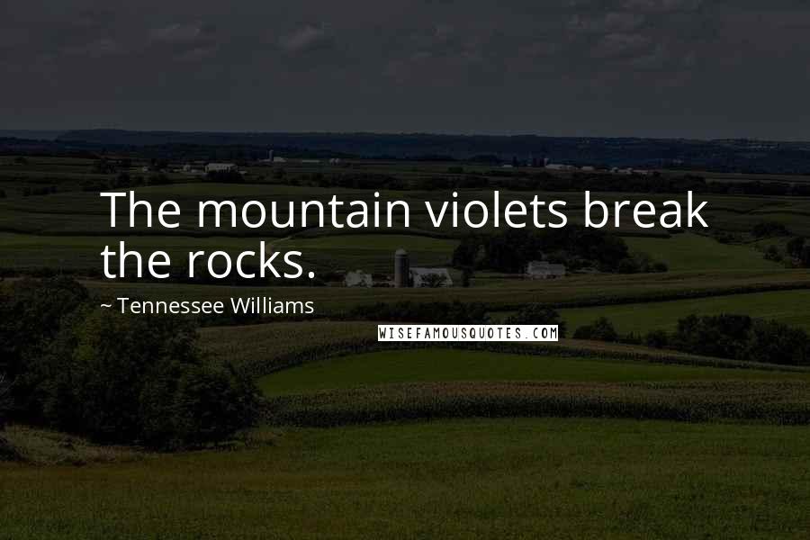 Tennessee Williams Quotes: The mountain violets break the rocks.
