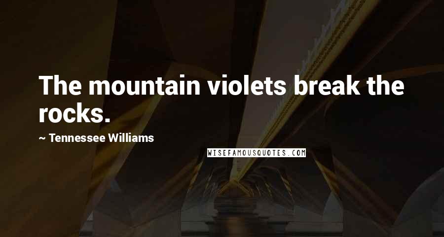 Tennessee Williams Quotes: The mountain violets break the rocks.