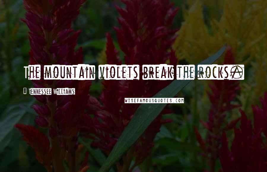 Tennessee Williams Quotes: The mountain violets break the rocks.