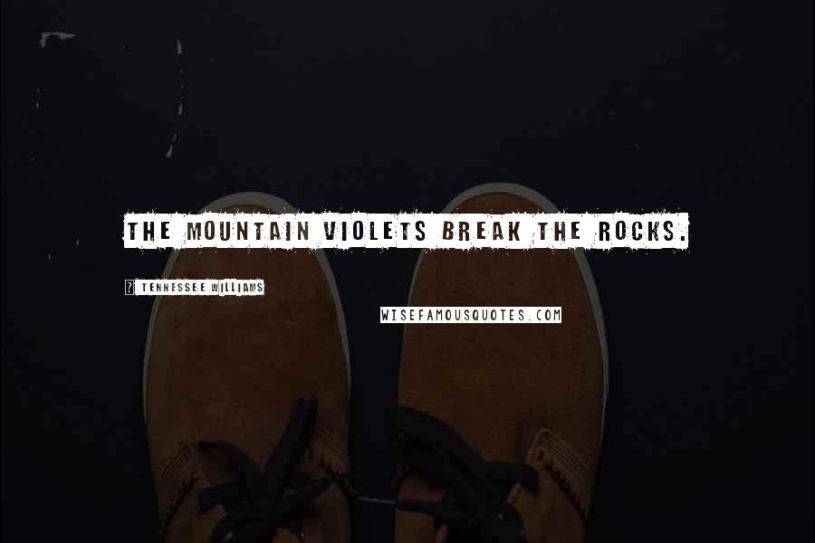 Tennessee Williams Quotes: The mountain violets break the rocks.