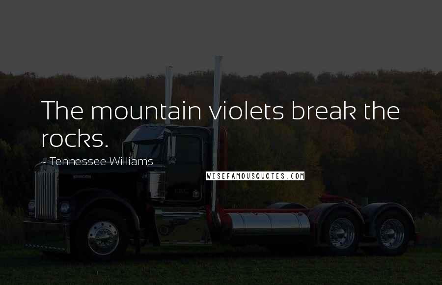 Tennessee Williams Quotes: The mountain violets break the rocks.