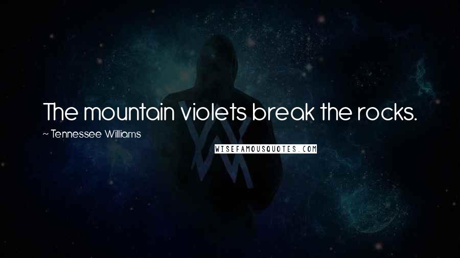 Tennessee Williams Quotes: The mountain violets break the rocks.