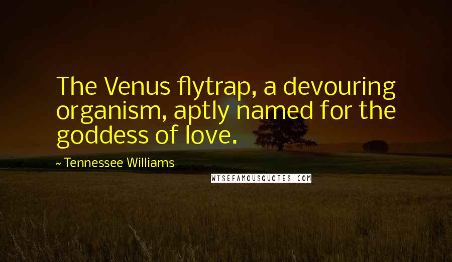 Tennessee Williams Quotes: The Venus flytrap, a devouring organism, aptly named for the goddess of love.