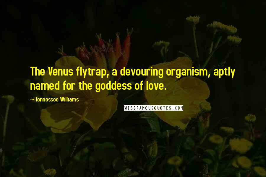 Tennessee Williams Quotes: The Venus flytrap, a devouring organism, aptly named for the goddess of love.