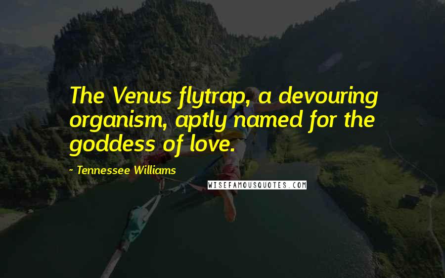 Tennessee Williams Quotes: The Venus flytrap, a devouring organism, aptly named for the goddess of love.