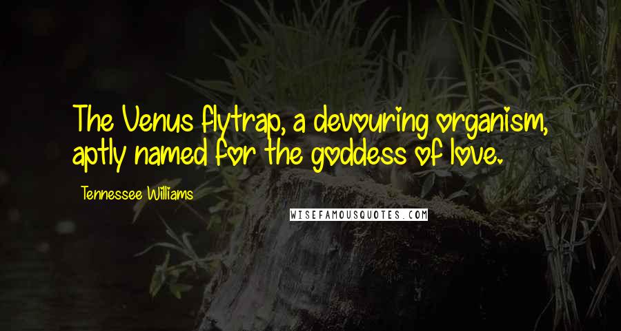 Tennessee Williams Quotes: The Venus flytrap, a devouring organism, aptly named for the goddess of love.