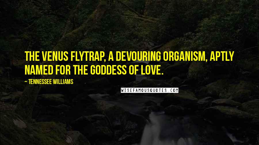 Tennessee Williams Quotes: The Venus flytrap, a devouring organism, aptly named for the goddess of love.