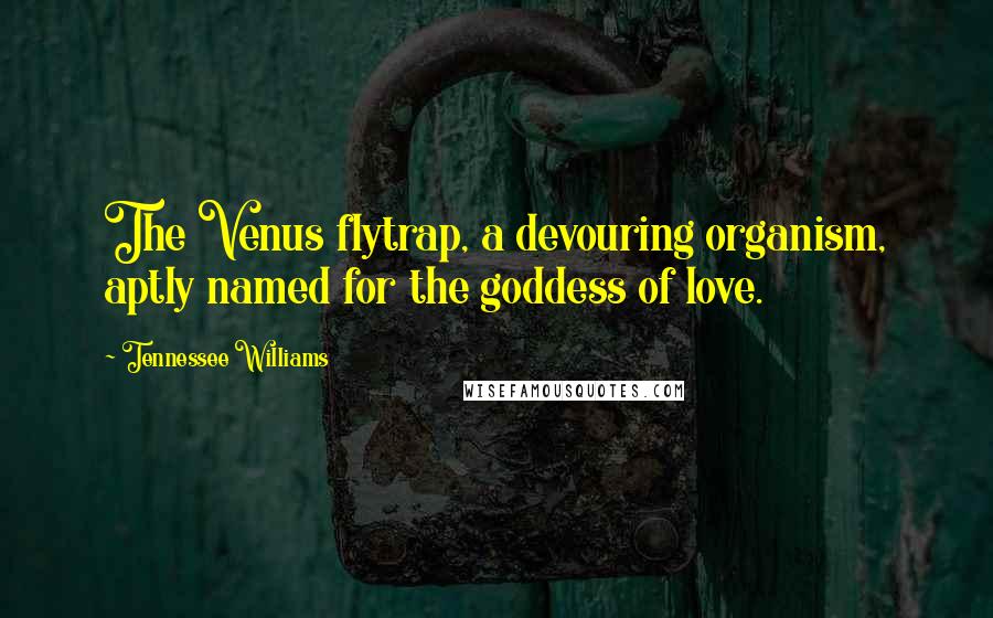 Tennessee Williams Quotes: The Venus flytrap, a devouring organism, aptly named for the goddess of love.