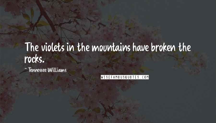 Tennessee Williams Quotes: The violets in the mountains have broken the rocks.