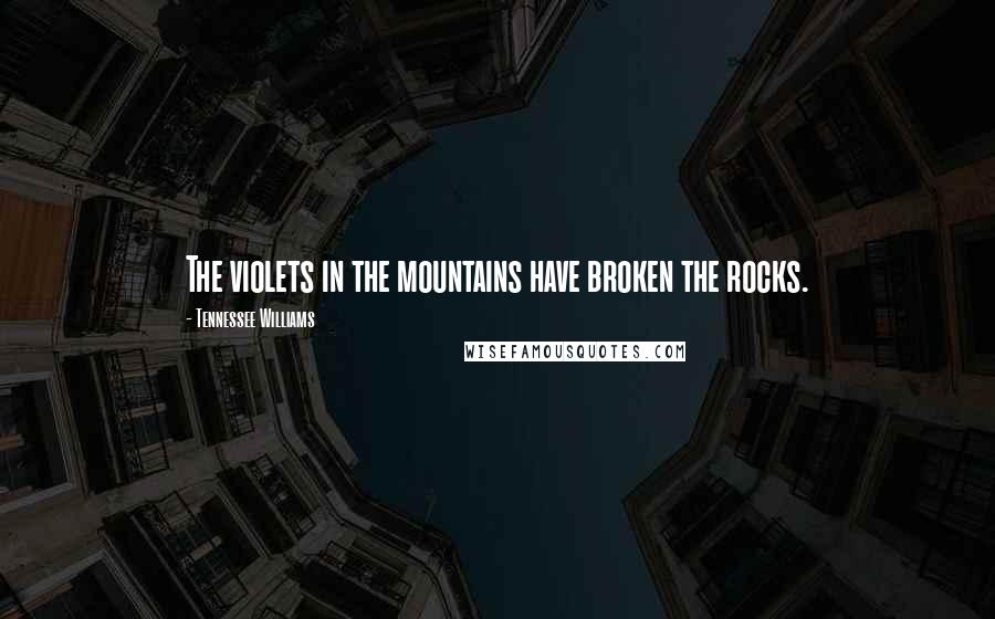 Tennessee Williams Quotes: The violets in the mountains have broken the rocks.