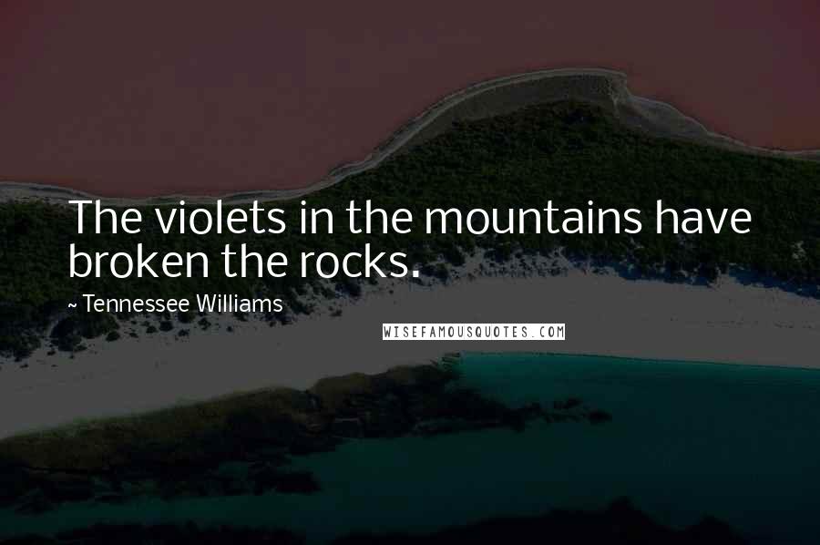 Tennessee Williams Quotes: The violets in the mountains have broken the rocks.