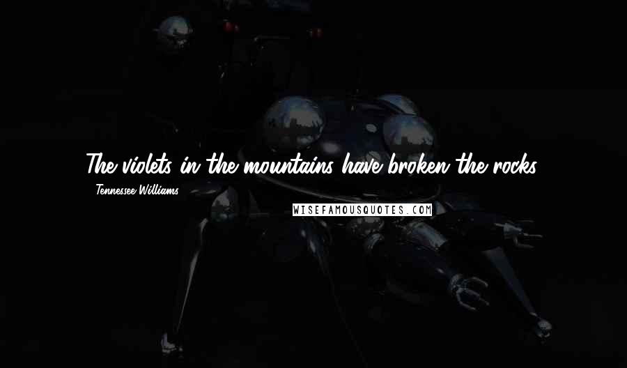 Tennessee Williams Quotes: The violets in the mountains have broken the rocks.