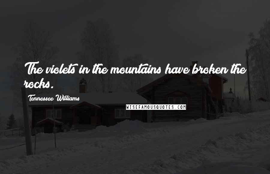 Tennessee Williams Quotes: The violets in the mountains have broken the rocks.