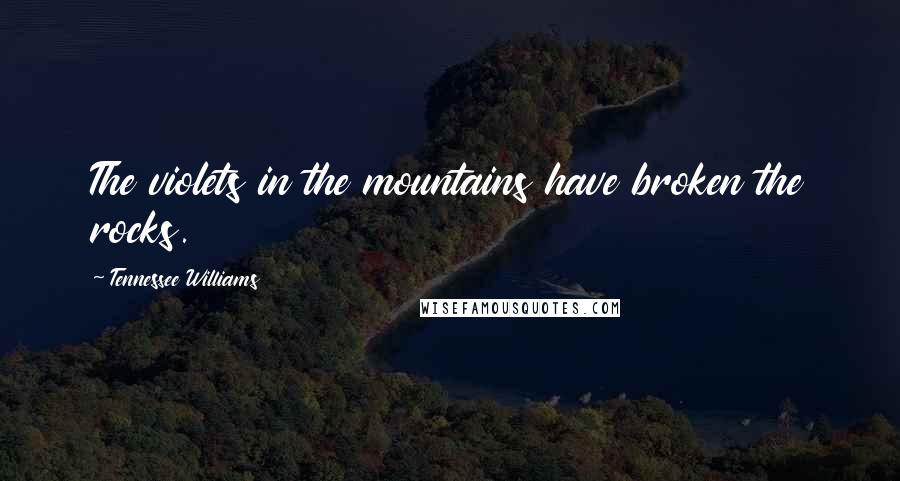 Tennessee Williams Quotes: The violets in the mountains have broken the rocks.