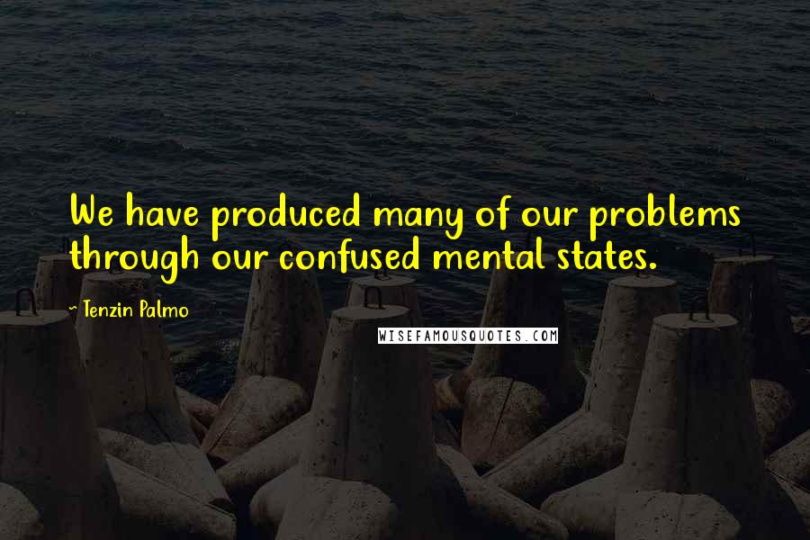 Tenzin Palmo Quotes: We have produced many of our problems through our confused mental states.